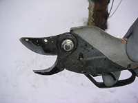 クリックすると大きな画像が出てきます。