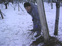 クリックすると大きな画像が出てきます。