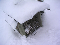 クリックすると大きな画像が出てきます。