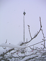 クリックすると大きな画像が出てきます。