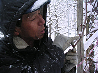 クリックすると大きな画像が出てきます。