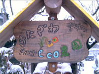 クリックすると大きな画像が出てきます。