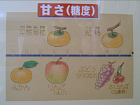 クリックすると大きな画像が出てきます。