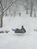 クリックすると大きな画像が出てきます。