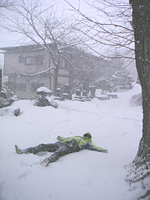 クリックすると大きな画像が出てきます。