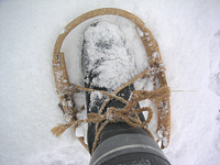 クリックすると大きな画像が出てきます。