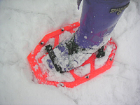 クリックすると大きな画像が出てきます。