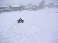 クリックすると大きな画像が出てきます。