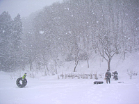 クリックすると大きな画像が出てきます。