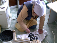 クリックすると大きな画像が出てきます。