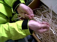 クリックすると大きな画像が出てきます。