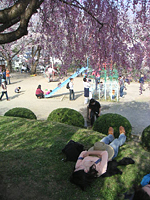 クリックすると大きな画像が出てきます。