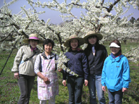 クリックすると大きな画像が出てきます。