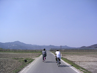 クリックすると大きな画像が出てきます。