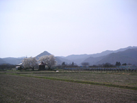 クリックすると大きな画像が出てきます。