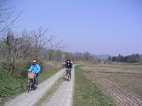 クリックすると大きな画像が出てきます。