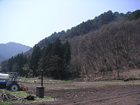 クリックすると大きな画像が出てきます。