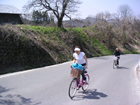 クリックすると大きな画像が出てきます。