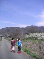 クリックすると大きな画像が出てきます。