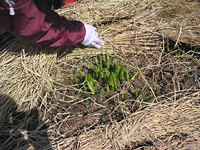 クリックすると大きな画像が出てきます。