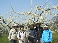 クリックすると大きな画像が出てきます。