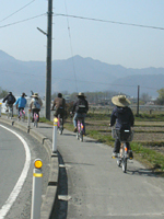 クリックすると大きな画像が出てきます。