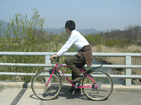 クリックすると大きな画像が出てきます。