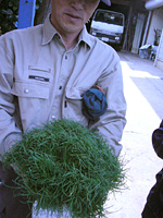 クリックすると大きな画像が出てきます。