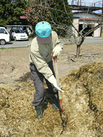 クリックすると大きな画像が出てきます。