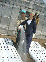 クリックすると大きな画像が出てきます。