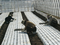 クリックすると大きな画像が出てきます。