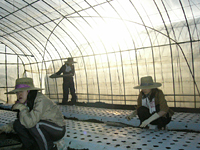 クリックすると大きな画像が出てきます。