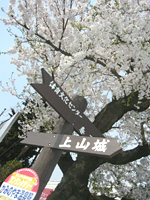 クリックすると大きな画像が出てきます。