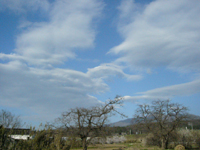 クリックすると大きな画像が出てきます。