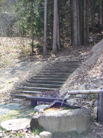 クリックすると大きな画像が出てきます。