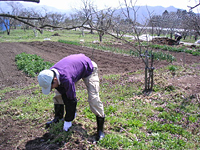 クリックすると大きな画像が出てきます。