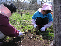 クリックすると大きな画像が出てきます。