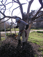 クリックすると大きな画像が出てきます。