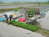 クリックすると大きな画像が出てきます。