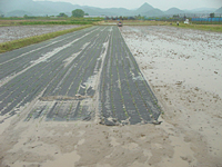 クリックすると大きな画像が出てきます。