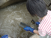 クリックすると大きな画像が出てきます。