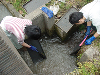 クリックすると大きな画像が出てきます。