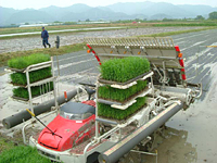 クリックすると大きな画像が出てきます。