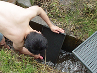 クリックすると大きな画像が出てきます。