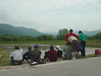 クリックすると大きな画像が出てきます。