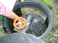 クリックすると大きな画像が出てきます。