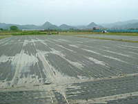 クリックすると大きな画像が出てきます。