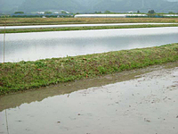 クリックすると大きな画像が出てきます。