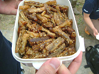 クリックすると大きな画像が出てきます。