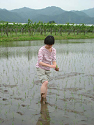 クリックすると大きな画像が出てきます。